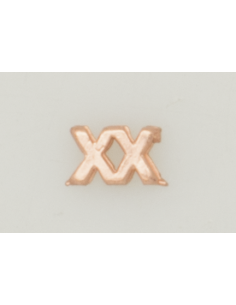 NUMERAL CNP PASADOR XX