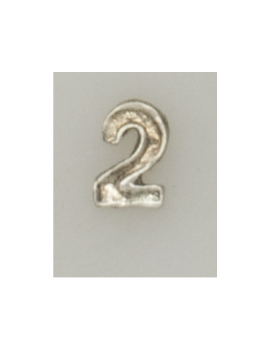 NUMERAL PASADOR DIARIO  2 PLATA