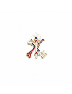 PIN LEGION MULTICOLOR PEQUEÑO