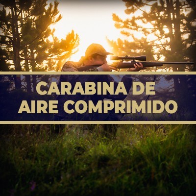 Carabina de aire comprimido